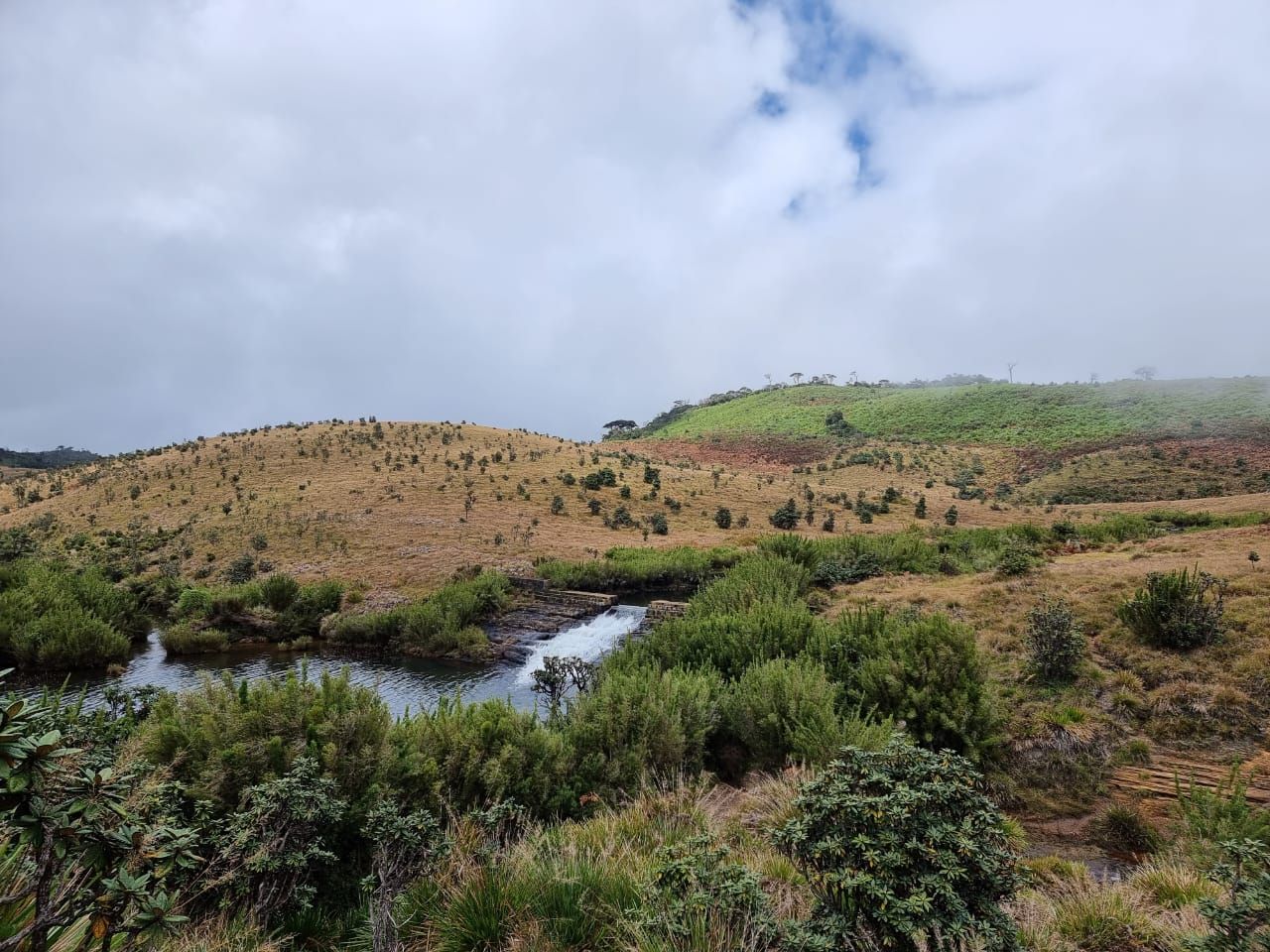 Grassland with a small waterfall