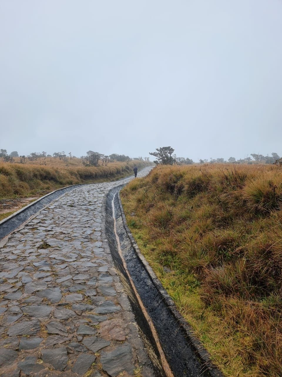 Hike pathway